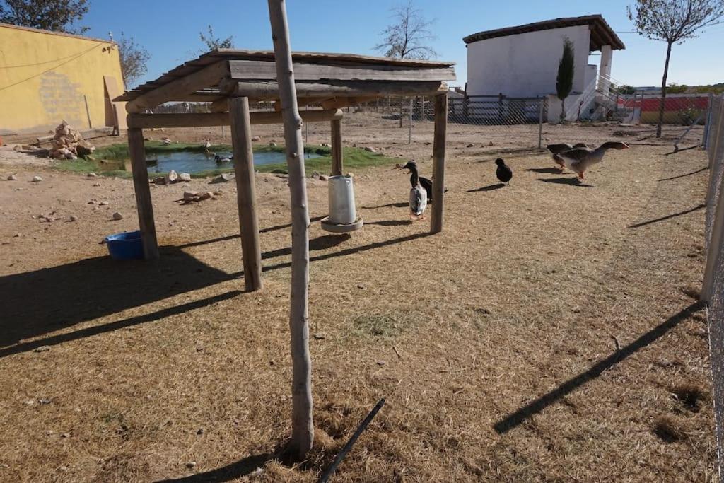 Finca La Caprichosa De Dancos Lillo エクステリア 写真